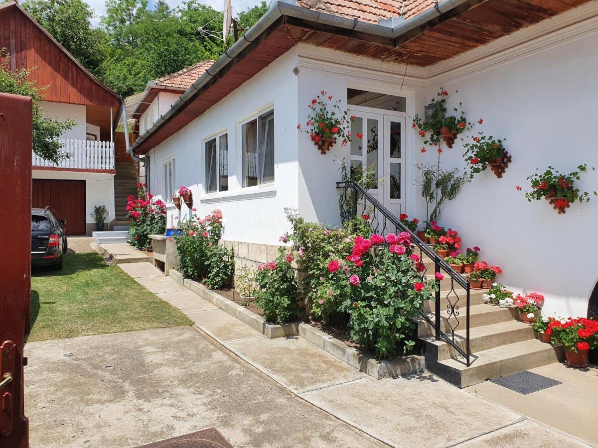 Bed and Breakfast Rozsa Panzio Rimetea Zewnętrze zdjęcie