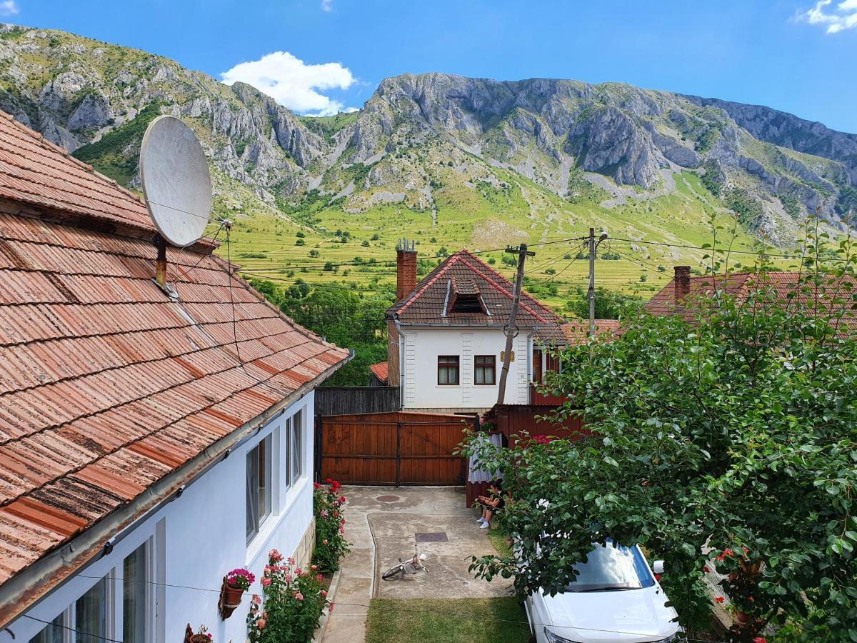 Bed and Breakfast Rozsa Panzio Rimetea Zewnętrze zdjęcie