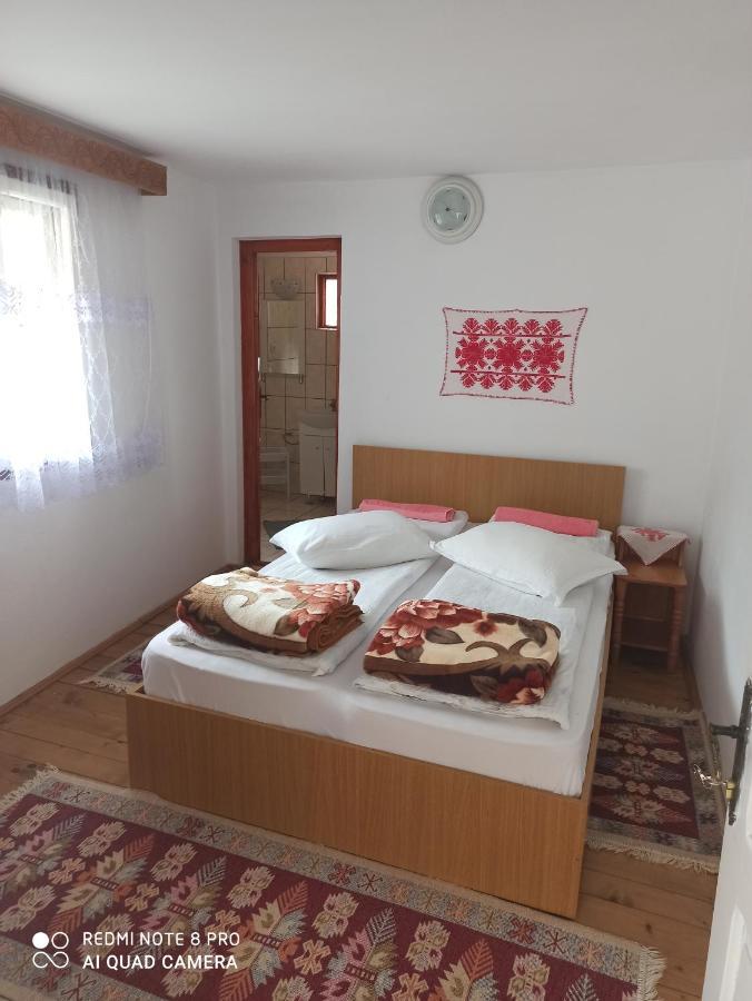 Bed and Breakfast Rozsa Panzio Rimetea Zewnętrze zdjęcie