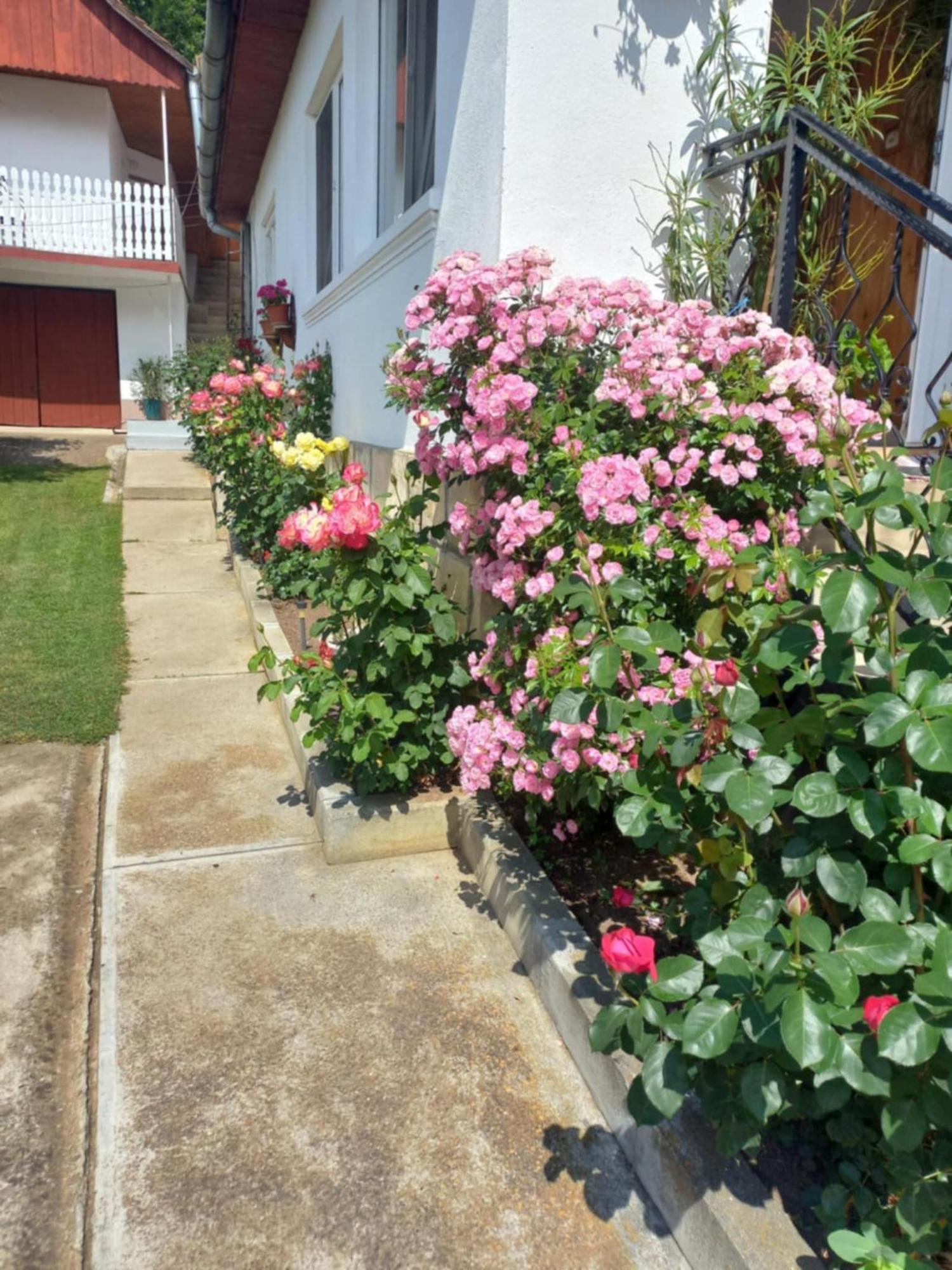 Bed and Breakfast Rozsa Panzio Rimetea Zewnętrze zdjęcie