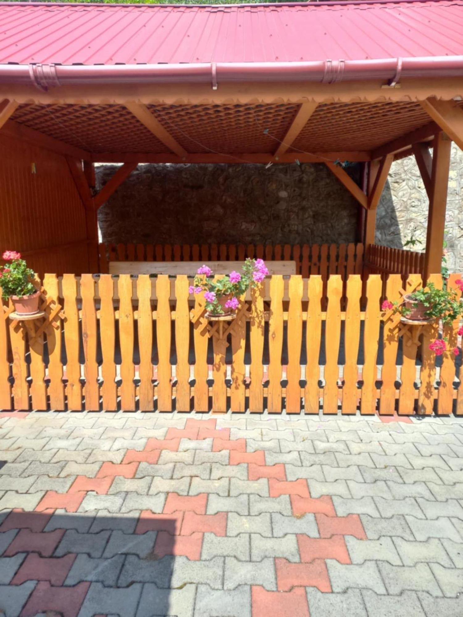 Bed and Breakfast Rozsa Panzio Rimetea Zewnętrze zdjęcie