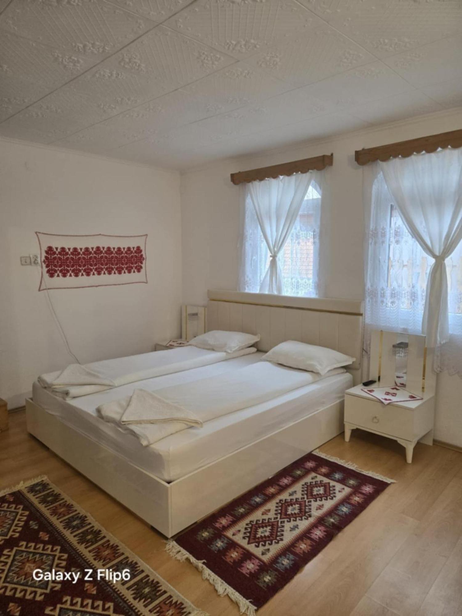 Bed and Breakfast Rozsa Panzio Rimetea Zewnętrze zdjęcie